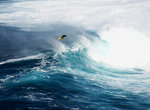 Jaws! Maui, Hawaii