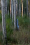 Bl&aring; flicka 4