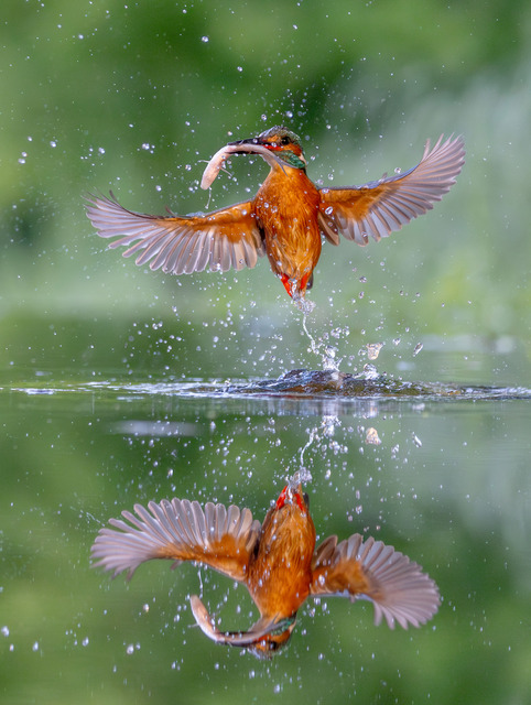 Som en sprudlande f&auml;rgexplosion