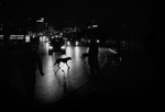 Vildhundar och tama människor i Istanbul