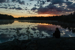 Natt i Tyresta Nationalpark