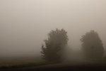 Dimmig septembermorgon