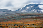 Jotunheimen