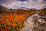 Kungsleden 1