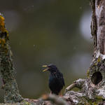 H&auml;r bor faktiskt jag!