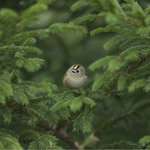 Omb&auml;ddad och sj&auml;lvklart i centrum,,