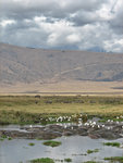 Hippopond - Ngorongoro Crater