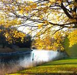 Höst på Djurgården