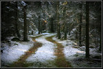 Skogsväg_Den första snön 21.10.2010