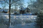 Vinter