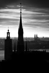 Stockholms tinnar & torn