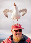 Ole Martin with Seagul