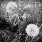 Dandelion children