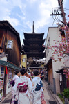 Yasaka Pagoda Kimono gang