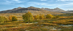 Rondane