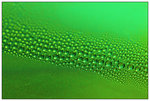 green condensation 01