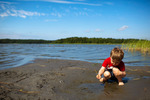 sonen vid sjöstrand under solen