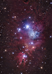 Cone Nebula - NGC 2264