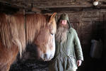 Hästmannen Stig-Anders i stallet