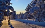 Skiing track by Silence