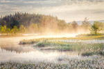 Sommarnatt på myren