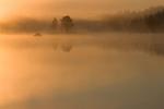 Foggy Island