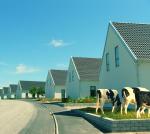 F&ouml;rstadsdr&ouml;m