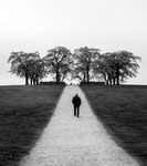 P&aring; v&auml;g till minneslunden