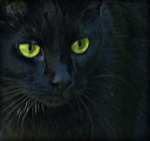 Gr&ouml;na &ouml;gon