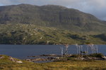 Träd, vatten och berg