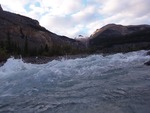 Berg lake trail