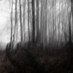 r&ouml;relser i dimman...