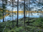 Stensjön, Tyresta Nationalpark