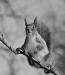 Kunde inte l&aring;ta bli......