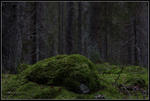 Trollskog