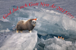 God Jul och Gott Nytt Foto&aring;r 2015!