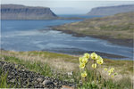 Westfjords