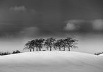 Skogskyrkogården, Vinter