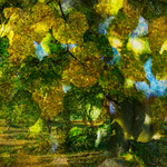 Genom l&ouml;vverket