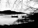 annandagen 2013