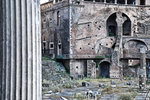 FORUM ROMA