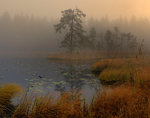 Höstmorgon vid Kyrkesjön