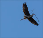 Konstrukt&ouml;ren..