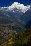 Annapurna
