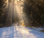 Lite grann fr&aring;n ovan...