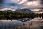 Reflection in the water