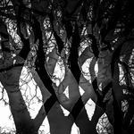 Tr&auml;dabstraktion