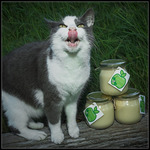 Honung &auml;r mumsigt