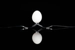 The reflective egg