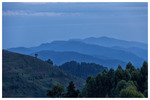 Rwanda Blue Mountains